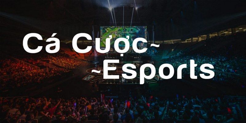 Tổng quan về sân chơi esport tại TK88